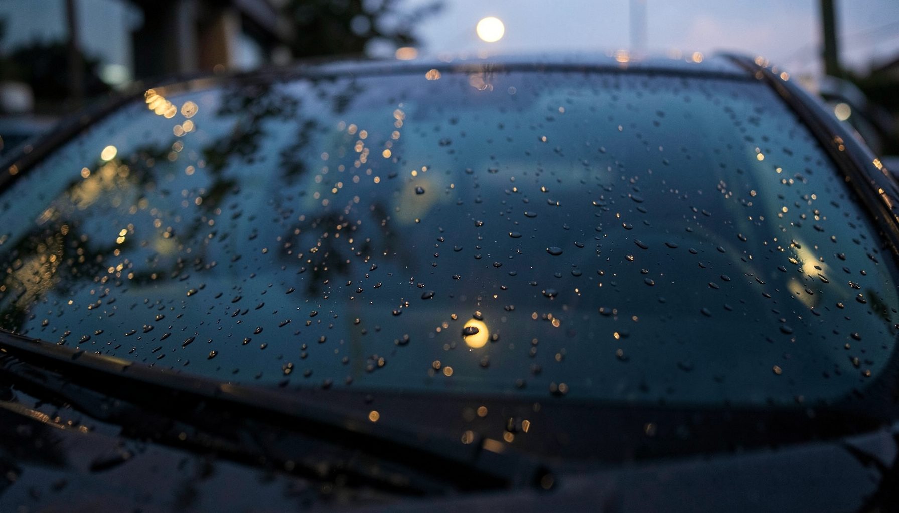 Dark wet car windshield with water droplets catching soft streetlight reflections at dusk
