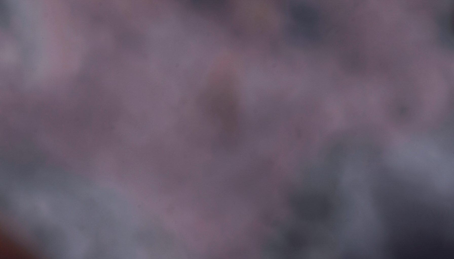 Abstract soft-focus background with muted plum and charcoal tones, subtle texture