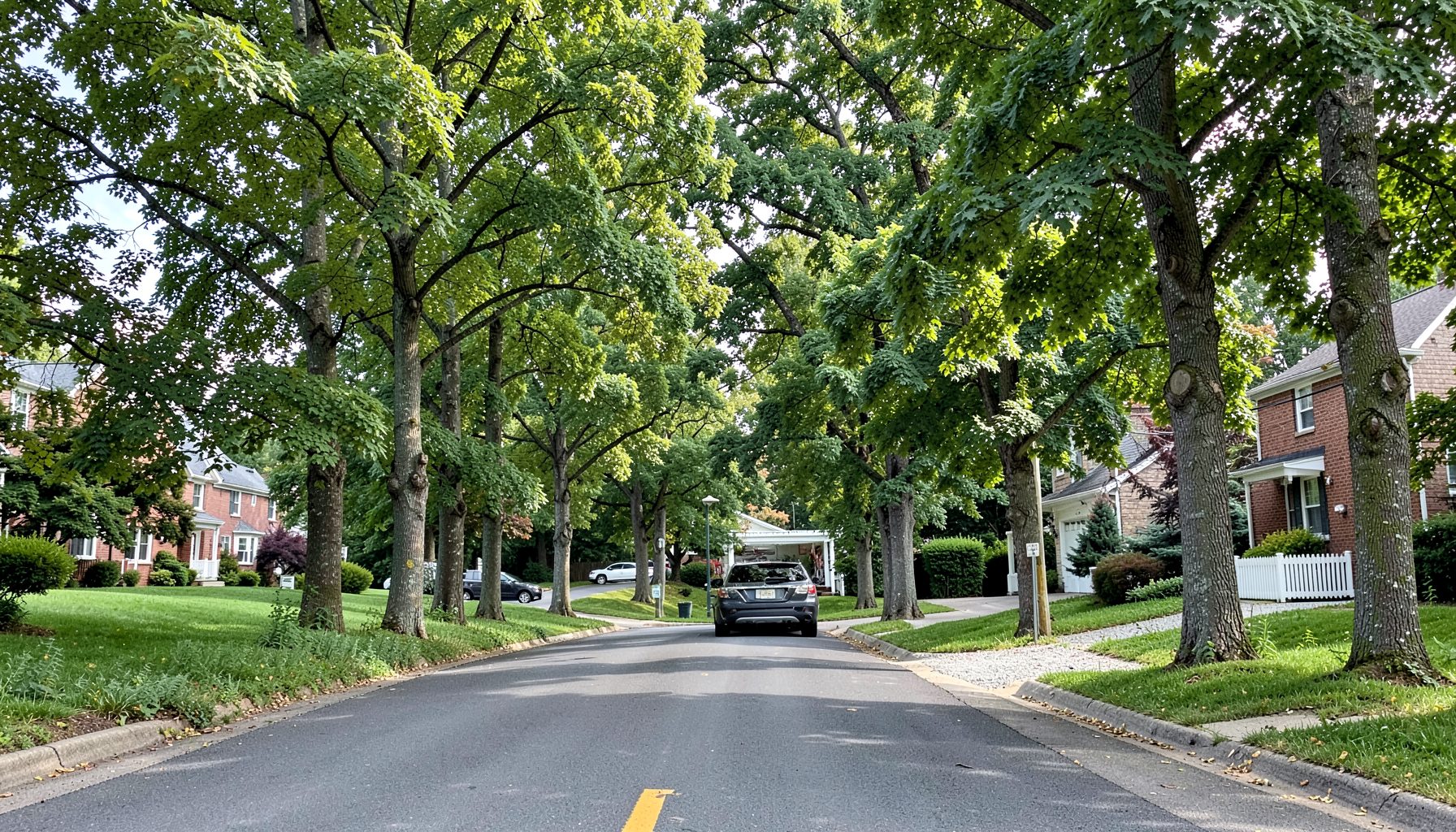 A tree-lined road in a northern New Jersey suburb with a single vehicle parked near a driveway